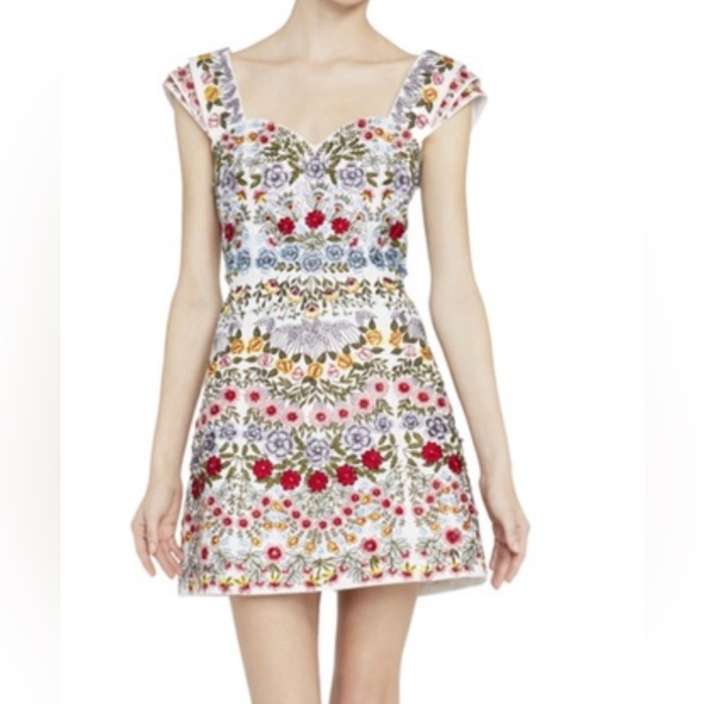 Alice +Olivia Roz Floral Embroidered A-Line Dress